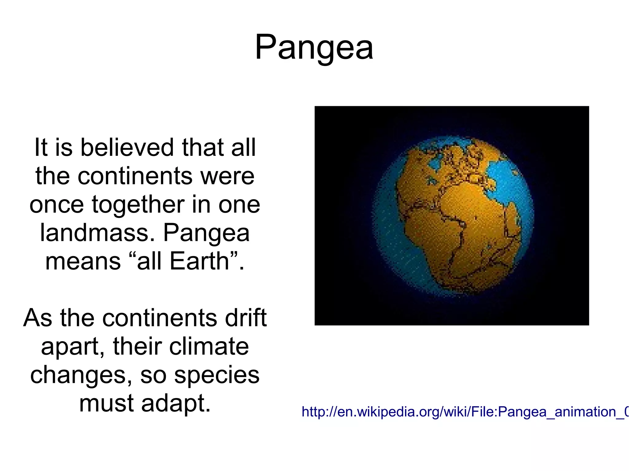 Pangea

It is believed that all
the continents were
once together in one
 landmass. Pangea
  means “all Earth”.

As the continents drift
 apart, their climate
changes, so species
     must adapt.          http://en.wikipedia.org/wiki/File:Pangea_animation_0
 