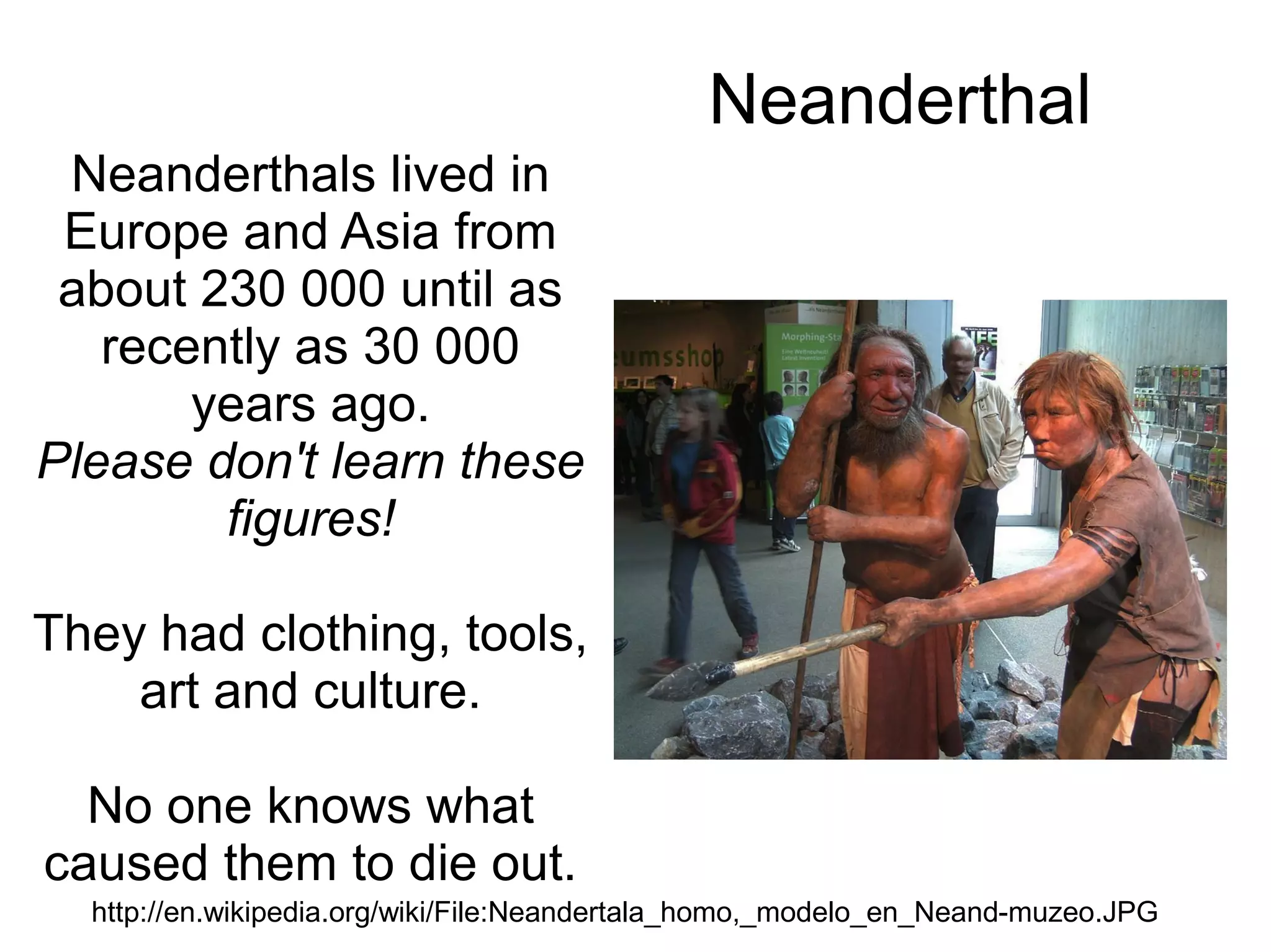 Neanderthal
 Neanderthals lived in
 Europe and Asia from
 about 230 000 until as
   recently as 30 000
       years ago.
Please don't learn these
        figures!

They had clothing, tools,
    art and culture.

  No one knows what
caused them to die out.
  http://en.wikipedia.org/wiki/File:Neandertala_homo,_modelo_en_Neand-muzeo.JPG
 