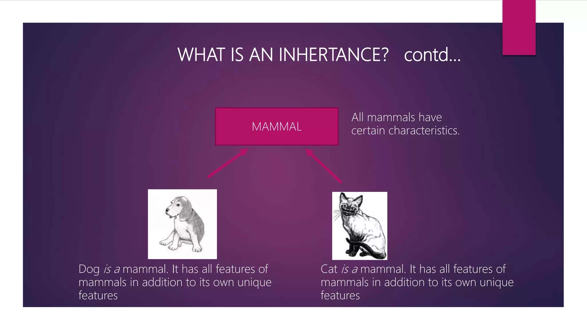 Inheritance in c++ | PPTX
