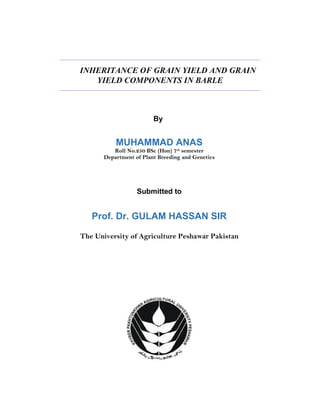 INHERITANCE OF GRAIN YIELD AND GRAIN
YIELD COMPONENTS IN BARLE
By
MUHAMMAD ANAS
Roll No.250 BSc (Hon) 7th
semester
Department of Plant Breeding and Genetics
Submitted to
Prof. Dr. GULAM HASSAN SIR
The University of Agriculture Peshawar Pakistan
 