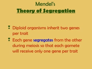 Mendel's
Theory of Segregation
 Diploid organisms inherit two genes
per trait
 Each gene segregates from the other
during meiosis so that each gamete
will receive only one gene per trait
 