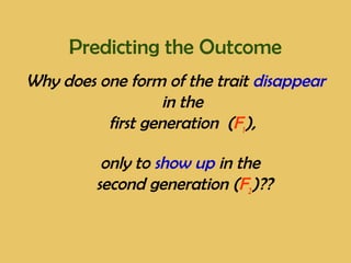 Predicting the Outcome
Why does one form of the trait disappear
in the
first generation (F1),
only to show up in the
second generation (F2)??
 