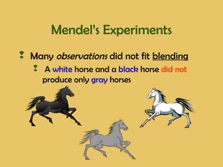 Mendel’s Experiments
 Many observations did not fit blending
 A white horse and a black horse did not
produce only gray horses
 