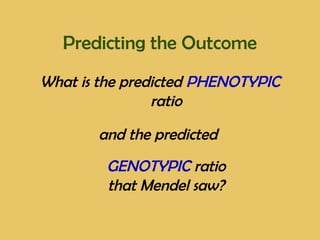 Predicting the Outcome
What is the predicted PHENOTYPIC
ratio
and the predicted
GENOTYPIC ratio
that Mendel saw?
 