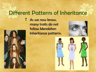 Different Patterns of Inheritance
 As we now know,
many traits do not
follow Mendelian
Inheritance patterns.
 