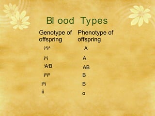 Bl ood Types
Genotype of
offspring
Phenotype of
offspring
A
i
Ai
B AB
iA
i A
iA
iA
iB
iB
B
iB
i B
ii o
 