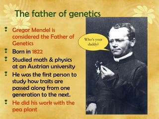 The father of genetics
 Gregor Mendel is
considered the Father of
Genetics
 Born in 1822
 Studied math & physics
at an Austrian university
 He was the first person to
study how traits are
passed along from one
generation to the next.
 He did his work with the
pea plant
Who’s your
daddy?
 