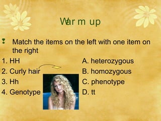 War m up
 Match the items on the left with one item on
the right
1. HH A. heterozygous
2. Curly hair B. homozygous
3. Hh C. phenotype
4. Genotype D. tt
 