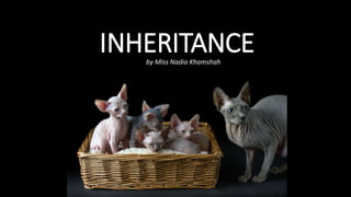 INHERITANCE
by Miss Nadia Khamshah
 