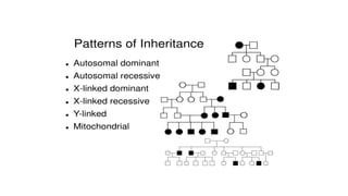 autosomal and sex chromosomal inheritance pattern in humans.pptx