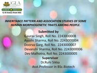 INHERITANCE PATTERN AND ASSOCIATION STUDIES OF SOME
HUMAN MORPHOGENETIC TRAITS AMONG PEOPLE.
Submitted by
Gaurav Singh, Roll No. 2243000008
Ayushi Sharma, Roll No. 2243000004
Doorva Garg, Roll No. 2243000007
Devanshi Sharma, Roll No. 2243000006
Dev Malhotra, Roll No. 2243000005
Supervisor
Dr.Ruhi Sikka
Asst.Professor in BSc.Biotech
 