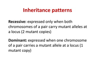 Inheritance patterns
Recessive: expressed only when both
chromosomes of a pair carry mutant alleles at
a locus (2 mutant copies)
Dominant: expressed when one chromosome
of a pair carries a mutant allele at a locus (1
mutant copy)
 