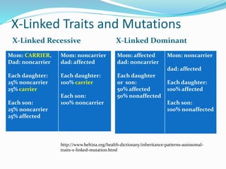 Types of Inheritance | PPTX
