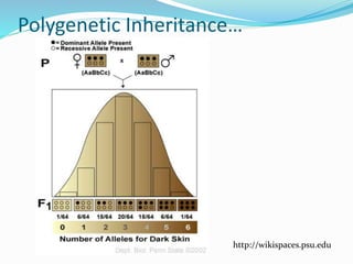 Types of Inheritance | PPTX