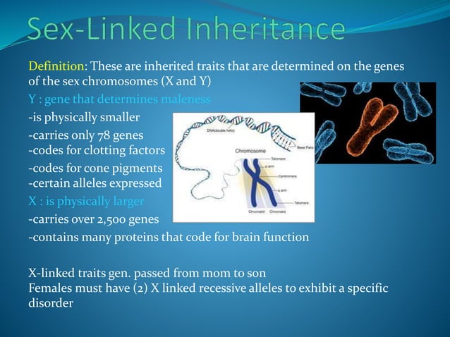 Types of Inheritance | PPTX