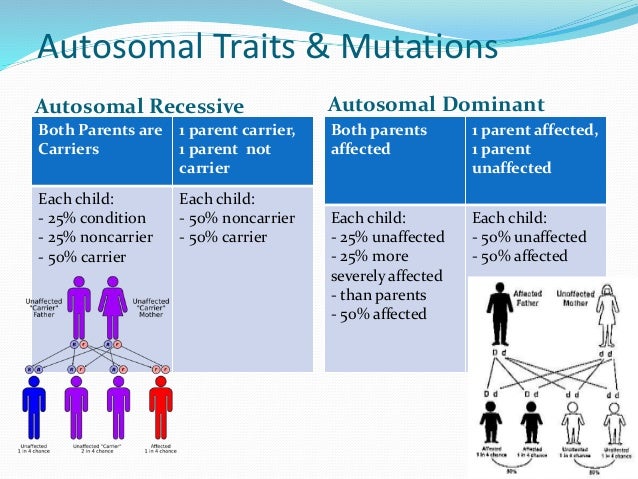 what does it mean when a trait is dominant or recessive