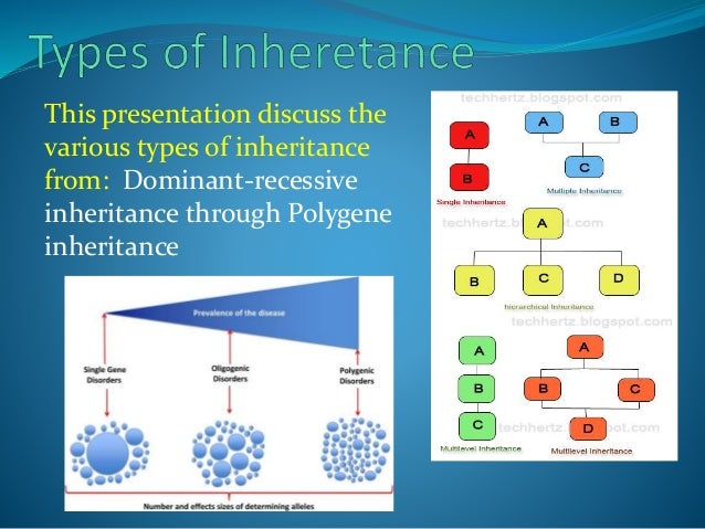 Types of Inheritance