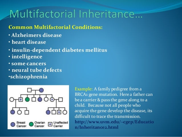Types of Inheritance