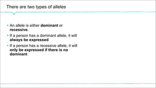 There are two types of alleles
§ An allele is either dominant or
recessive.
§ If a person has a dominant allele, it will
always be expressed
§ If a person has a recessive allele, it will
only be expressed if there is no
dominant
 