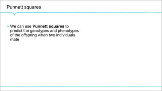 Punnett squares
§ We can use Punnett squares to
predict the genotypes and phenotypes
of the offspring when two individuals
mate
 