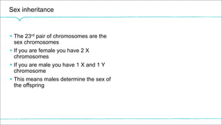 Sex inheritance
§ The 23rd pair of chromosomes are the
sex chromosomes
§ If you are female you have 2 X
chromosomes
§ If you are male you have 1 X and 1 Y
chromosome
§ This means males determine the sex of
the offspring
 