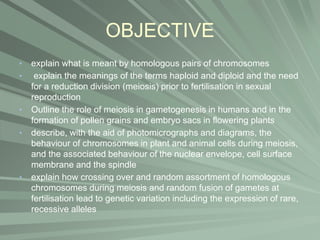 OBJECTIVE
• explain what is meant by homologous pairs of chromosomes
• explain the meanings of the terms haploid and diploid and the need
for a reduction division (meiosis) prior to fertilisation in sexual
reproduction
• Outline the role of meiosis in gametogenesis in humans and in the
formation of pollen grains and embryo sacs in flowering plants
• describe, with the aid of photomicrographs and diagrams, the
behaviour of chromosomes in plant and animal cells during meiosis,
and the associated behaviour of the nuclear envelope, cell surface
membrane and the spindle
• explain how crossing over and random assortment of homologous
chromosomes during meiosis and random fusion of gametes at
fertilisation lead to genetic variation including the expression of rare,
recessive alleles
 