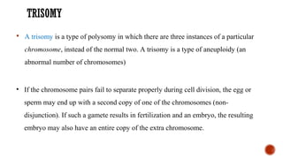 TRISOMY
 A trisomy is a type of polysomy in which there are three instances of a particular
chromosome, instead of the normal two. A trisomy is a type of aneuploidy (an
abnormal number of chromosomes)
• If the chromosome pairs fail to separate properly during cell division, the egg or
sperm may end up with a second copy of one of the chromosomes (non-
disjunction). If such a gamete results in fertilization and an embryo, the resulting
embryo may also have an entire copy of the extra chromosome.
 