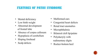 FEATURES OF PATAU SYNDROME
• Mental deficiency
• Low birth weight
• Abnormal development
of frontal lobe
• Absence of corpus callosum
• Hypoplasia of cerebellum
• Sloping forehead
• Scalp defects
• Malformed ears
• Congenital heart defects
• Renal tract anomalies
• Microphthalmia
• Bilateral cleft lip/palate
• Polydactyly with
rudimentary digits
• Rocker-bottom heel
 