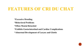 FEATURES OF CRI DU CHAT
*Excessive Drooling
*Behavioral Problems
*Often Mental Retarded
*Exhibits Gastorintestinal and Cardiac Complications
*Abnormal Development of Larynx and Glottis
 