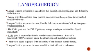 LANGER-GIEDION
 Langer-Giedion syndrome is a condition that causes bone abnormalities and distinctive
facial features.
 People with this condition have multiple noncancerous (benign) bone tumors called
osteochondromas.
 Langer-Giedion syndrome is caused by the deletion or mutation of at least two genes
on chromosome 8.
 The EXT1 gene and the TRPS1 gene are always missing or mutated in affected
individuals
 EXT1 gene is responsible for the multiple osteochondromas . Loss of a
functional TRPS1 gene may cause the other bone and facial abnormalities
 These cases occur in people with no history of the disorder in their family.
 Langer-Giedion syndrome is a rare condition; its incidence is unknown.
 
