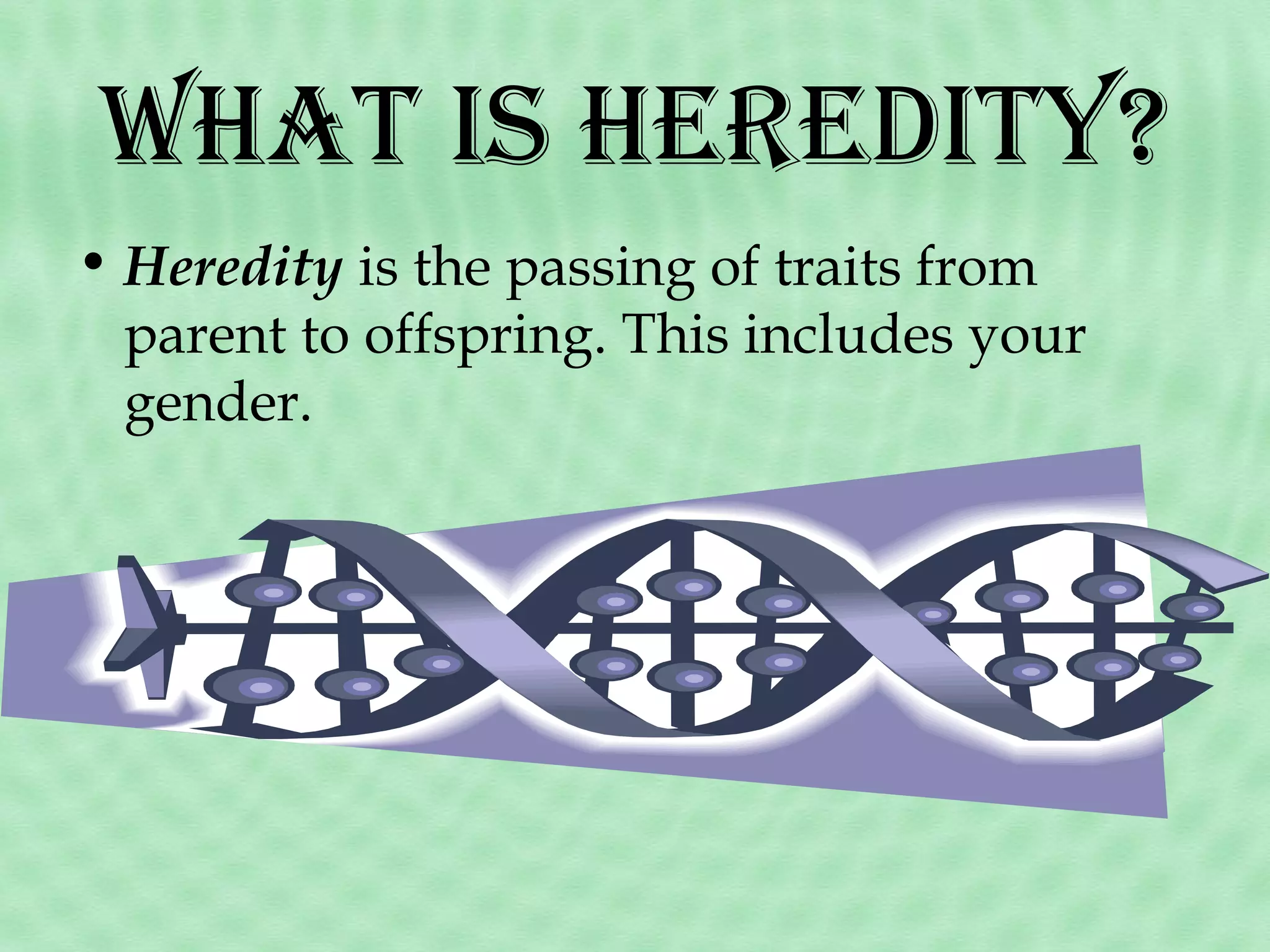What is hErEdity?
• Heredity is the passing of traits from
parent to offspring. This includes your
gender.

 
