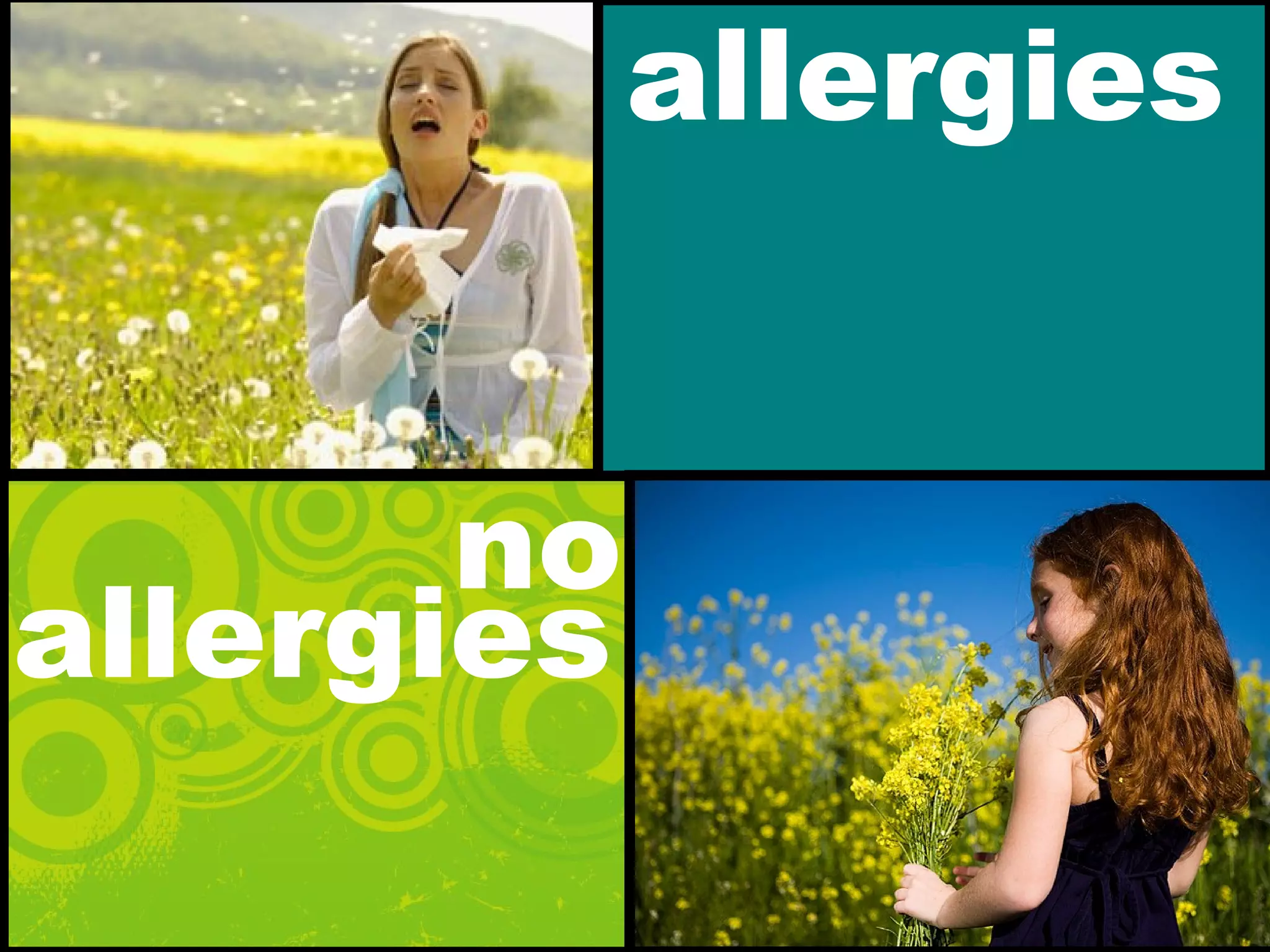 allergies
no
allergies
 