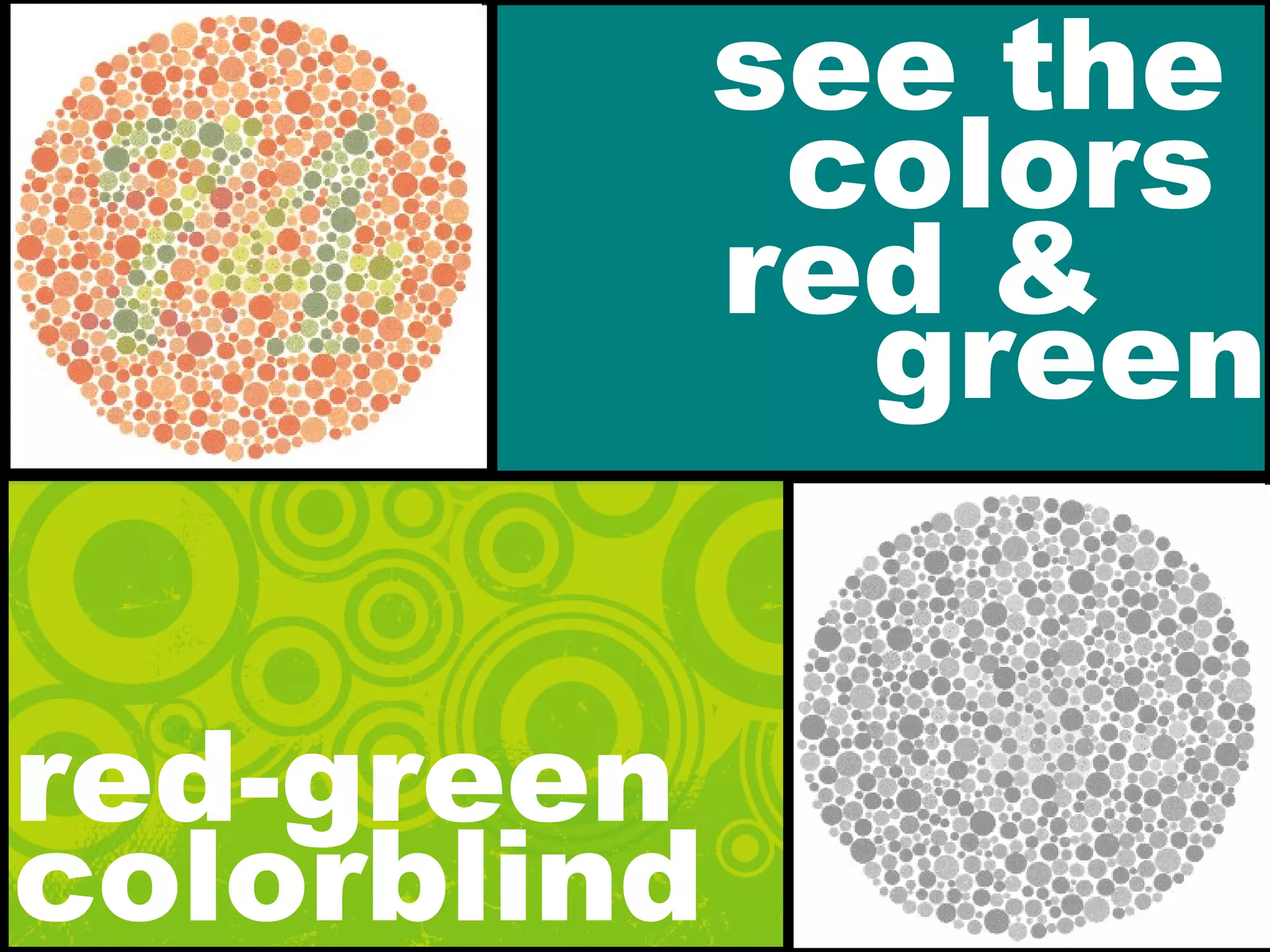 see the
red &
green
colors
red-green
colorblind
 