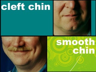 cleft chin
smooth
chin
 