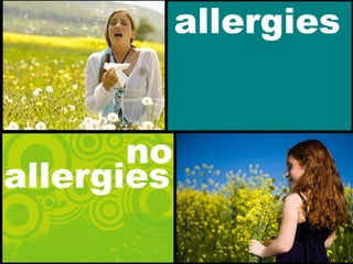 allergies
no
allergies
 