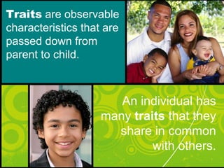 Traits are observable
characteristics that are
passed down from
parent to child.
An individual has
many traits that they
share in common
with others.
 
