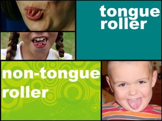 tongue
roller
non-tongue
roller
 