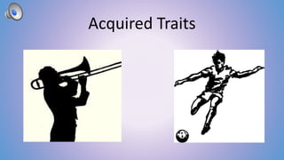 Acquired Traits 
 
