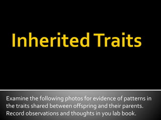 Examine the following photos for evidence of patterns in
the traits shared between offspring and their parents.
Record observations and thoughts in you lab book.
 
