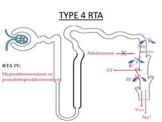 Type 4 Rta Pattern Inherited tubular disorders | PPTX