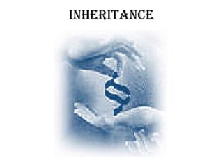 Inheritance Chapter 7 