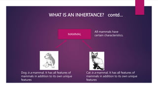 WHAT IS AN INHERTANCE? contd…
MAMMAL
All mammals have
certain characteristics.
Dog is a mammal. It has all features of
mammals in addition to its own unique
features
Cat is a mammal. It has all features of
mammals in addition to its own unique
features
 