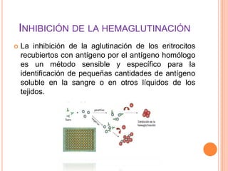 INHIBICIÓN DE LA HEMAGLUTINACIÓN


La inhibición de la aglutinación de los eritrocitos
recubiertos con antígeno por el antígeno homólogo
es un método sensible y específico para la
identificación de pequeñas cantidades de antígeno
soluble en la sangre o en otros líquidos de los
tejidos.

 