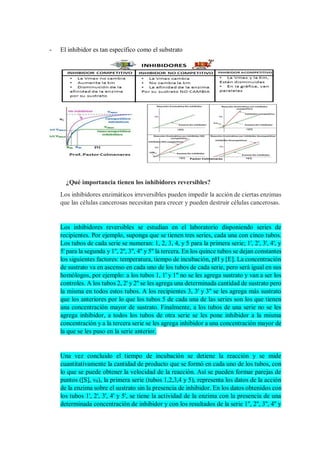 - El inhibidor es tan específico como el substrato
¿Qué importancia tienen los inhibidores reversibles?
Los inhibidores enzimáticos irreversibles pueden impedir la acción de ciertas enzimas
que las células cancerosas necesitan para crecer y pueden destruir células cancerosas.
Los inhibidores reversibles se estudian en el laboratorio disponiendo series de
recipientes. Por ejemplo, suponga que se tienen tres series, cada una con cinco tubos.
Los tubos de cada serie se numeran: 1, 2, 3, 4, y 5 para la primera serie; 1', 2', 3', 4', y
5' para la segunda y 1'', 2'', 3'', 4'' y 5'' la tercera. En los quince tubos se dejan constantes
los siguientes factores: temperatura, tiempo de incubación, pH y [E]. La concentración
de sustrato va en ascenso en cada uno de los tubos de cada serie, pero será igual en sus
homólogos, por ejemplo: a los tubos 1, 1' y 1'' no se les agrega sustrato y van a ser los
controles. A los tubos 2, 2' y 2'' se les agrega una determinada cantidad de sustrato pero
la misma en todos estos tubos. A los recipientes 3, 3' y 3'' se les agrega más sustrato
que los anteriores por lo que los tubos 5 de cada una de las series son los que tienen
una concentración mayor de sustrato. Finalmente, a los tubos de una serie no se les
agrega inhibidor, a todos los tubos de otra serie se les pone inhibidor a la misma
concentración y a la tercera serie se les agrega inhibidor a una concentración mayor de
la que se les puso en la serie anterior.
Una vez concluido el tiempo de incubación se detiene la reacción y se mide
cuantitativamente la cantidad de producto que se formó en cada uno de los tubos, con
lo que se puede obtener la velocidad de la reacción. Así se pueden formar parejas de
puntos ([S], v0), la primera serie (tubos 1,2,3,4 y 5), representa los datos de la acción
de la enzima sobre el sustrato sin la presencia de inhibidor. En los datos obtenidos con
los tubos 1', 2', 3', 4' y 5', se tiene la actividad de la enzima con la presencia de una
determinada concentración de inhibidor y con los resultados de la serie 1'', 2'', 3'', 4'' y
 