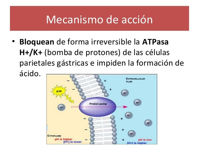 Inhibidores De La Bomba De Protones Mecanismo De Accion