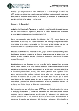 Facultad de Ingeniería Agraria
Programa de Ingeniería Ambiental
3
Debido a que en presencia de estos inhibidores no se libera energia, la sintesis de
ATP tambien se detiene. Los mas importantes inhibidores conocidos de la cadena de
transporte de electrones son el Amital, la Rotenona, el Antimycin A, el Monoxido de
Carbono (CO), la Azida sódica y los Cianuros.
Inibidores de Completo I :
Amital, un barbiturato, y la Rotenona, un producto vegetal obtenido de las plantas que
se usa como insecticida y pesticida, bloquean la cadena de transporte electronico
entre la NADH deshidrogenasa (Complejo I) y la CoQ.
Como consecuencia, ellos impiden la utilizacion del NADH como donante de
equivalentes de reduccion a la cadena respiratoria. Sin embargo, el flujo de eléctrones
que resulta de la reduccion-oxidacion del Complex II no es afectada, ya que los
electrones entran en un punto posterior al bloqueo, a traves de la Coenzima Q.
El efecto del Amital ha sido observado in vitro, ya que la intoxicacion con amital y otros
barbituratos afecta principalmente al Sistema Nervioso Central al actuar sobre los
canales de iones sensibles al GABA, un efecto no relacionado con la accion del amital
sobre el Complejo I.
Las intoxicaciones por Rotenona son muy raras. De hecho, algunas tribus humanas
solian pescar echando en el agua extractos de raices conteniendo Rotenona, la cual
es facilmente absorbible por los peces a traves de las branquias. La rotenona afectaba
la cadena respiratoria de los peces y estos morian y flotaban en la superficie. Estos
peces eran consumidos posteriormente sin afectar a los seres humanos, ya que los
residuos de rotenona en los peces eran absorbidos con dificultad por el tracto
gastrointestinal. En aquellos casos en que la rotenona se ha ingerido en forma
concentrada, generalmente irrita severamente las mucosas provocando vomitos. Sin
embargo, sus efectos tóxicos no deben ser menospreciados.
Es interesante notar que la Rotenona y el MPTP (una neurotoxina), que tambien afecta
al Complejo Respiratório I, cuando se administran de forma intravenosa, causan
sintomas y signos muy parecidos a la enfermedad de Parkinson. Estas substancias
afectan primariamente a las neuronas de la substancia nigra. Aparentemente la
secuencia de eventos es: afectacion del Complejo I, afectacion del metabolismo
 