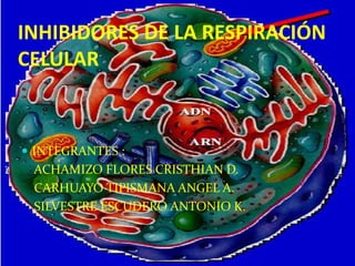 INHIBIDORES DE LA RESPIRACIÓN
CELULAR

 INTEGRANTES :

ACHAMIZO FLORES CRISTHIAN D.
CARHUAYO TIPISMANA ANGEL A.
SILVESTRE ESCUDERO ANTONIO K.

 