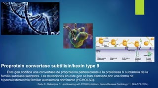 Proprotein convertase subtilisin/kexin type 9
Este gen codifica una convertasa de proproteína perteneciente a la proteinas...