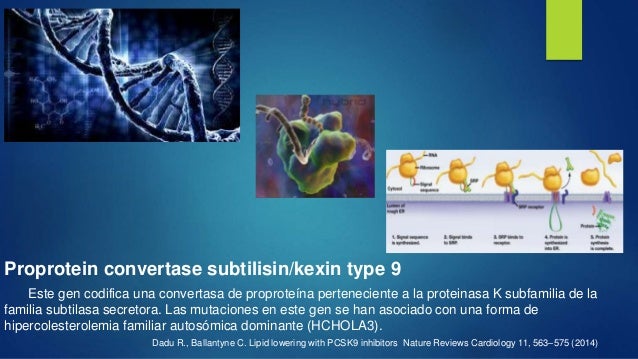 Inhibidores de PCSK9 Inhibidores de PCSK9