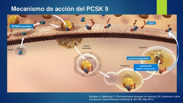 Inhibidores de PCSK9 Inhibidores de PCSK9